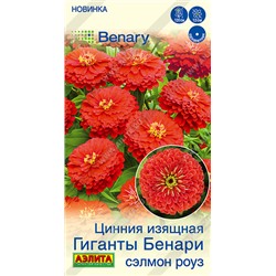 Цинния Гиганты Бенари Сэлмон Роуз (Код: 93618)