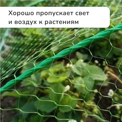 Сетка садовая, мягкая, 5×4 м, ячейка 15×15 мм, от птиц, Greengo