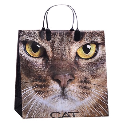 Пакет подарочный 30х30+10, 150мкм из мягкого пластика "Кэт" ламинированный