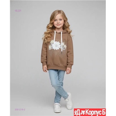 толстовка 2051219-2