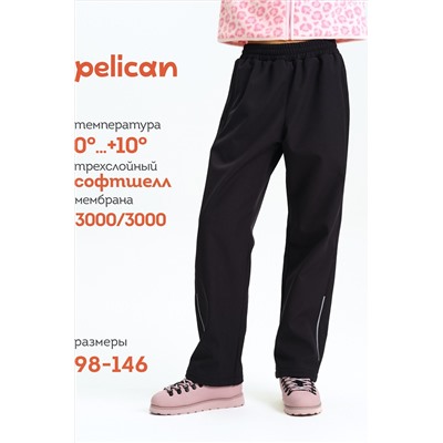 Брюки PELICAN, 1188874