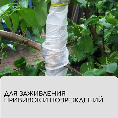 Лента для подвязки растений, 10×0.02 м, плотность 60 г/м², набор 2 шт., спанбонд с УФ-стабилизатором, белая, Greengo, Эконом 20%
