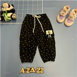 штаны 1981424-1