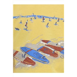 Футболка PELICAN, 854853