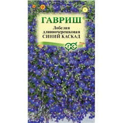 Лобелия Синий каскад (Гавр)