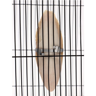 Панцирь каракатицы для птиц 13-15 см, белый