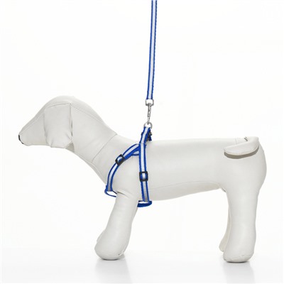 Комплект со светоотражающей лентой, ширина 1 см, поводок 120 см, шлейка 26-40 см, синий