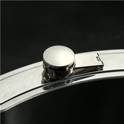 Фляжка ГИГАНТ «Нельзя соблюдать меру», 1920 мл, серебристая