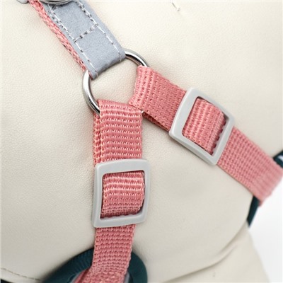 Комплект Sport+, XS, поводок 120×1.5 см, ОШ 37-39 см, ОГ 41-46 см, вес животного 4-6 кг, розовый