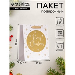 Пакет подарочный новогодний ламинированный «Золотые снежинки»,18×23×10 см