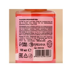 Новогодний подарочный набор косметики «Мечтай»: гель для душа 2×100 мл и мочалка для тела, URAL LAB