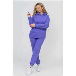Костюм 36586 (худи + брюки) НАТАЛИ, 811075
