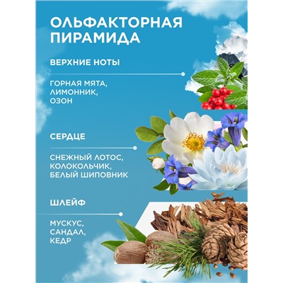 Парфюмерная вода для женщин Alatau Wings