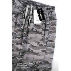 Мужские брюки из футера двухнитки Happyfox