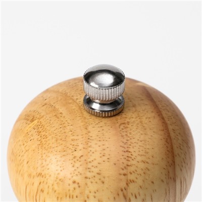 Набор для специй Доляна «Комфорт», 2 предмета: мельница и солонка, бежевый