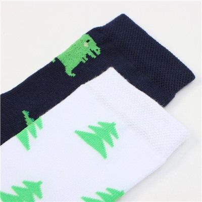 Носки детские KAFTAN «Дракоши», набор 2 пары, размер 14-16