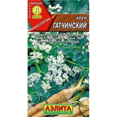 Хрен Гатчинский Аэлита