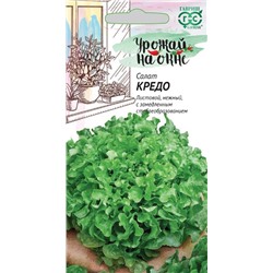 Салат Кредо (Гавр)