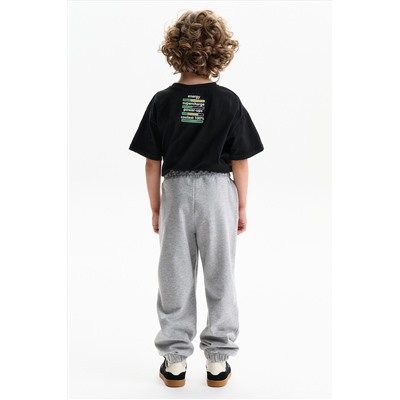 Футболка для мальчиков PELICAN, 1232807