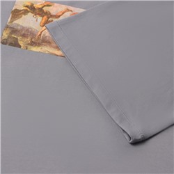 Футболка мужская MIST Angels, серый, р. 50