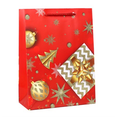 Пакет подарочный 18х24х8,5 / 5670-S /уп 12/720/ микс Новый год