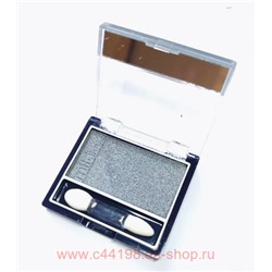MILDLook Тени для век одноцветные тон 05 серебро перламутровое 5011