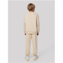 КОМПЛЕКТ ДЛЯ МАЛЬЧИКОВ (СВИТШОТ, БРЮКИ) 393335