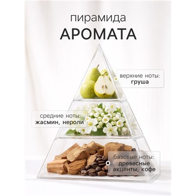 Наполнитель для ароматического диффузора ХО The Nicety, 100 мл