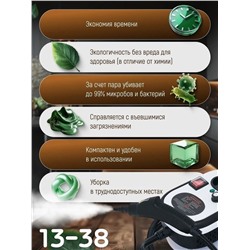 Пароочиститель