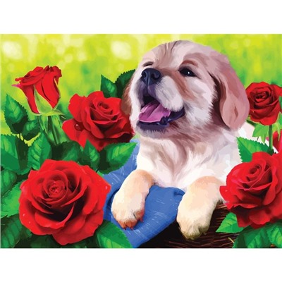 Алмазная мозаика с полным заполнением на холсте «Щенок», 30×40 см