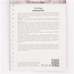 Клопогон простой Вайт Пёрл, р-р I, 1 шт.