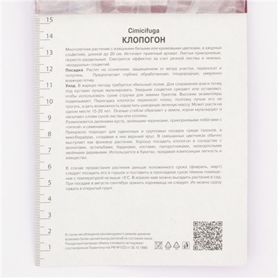 Клопогон простой Вайт Пёрл, р-р I, 1 шт.