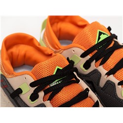 Кроссовки Nike Pegasus Trail 2