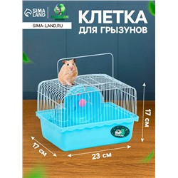 Клетка для грызунов «Пижон», 23×17×17 см, голубая