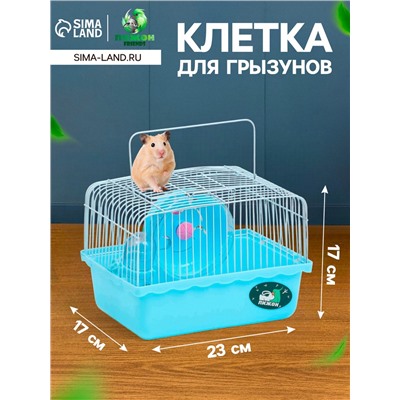 Клетка для грызунов «Пижон», 23×17×17 см, голубая