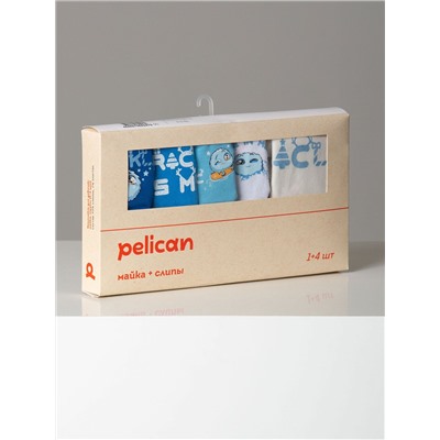 PELICAN Комплект GUAVL4310(4+1)