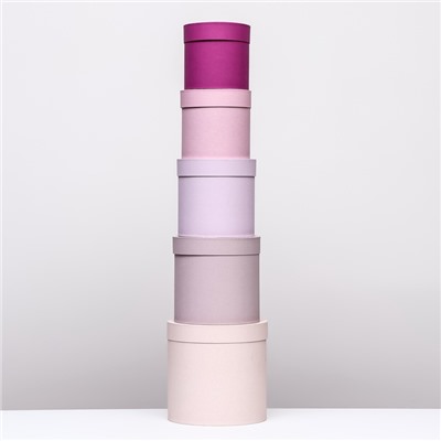 Набор круглых коробок 5 в 1 «Ягодный», 23×23 - 15×15 см