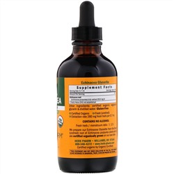 Herb Pharm, Эхинацея, без спирта, 4 жидких унции (120 мл)
