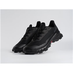 Кроссовки Salomon Alphacross 5 GTX