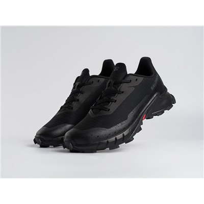Кроссовки Salomon Alphacross 5 GTX