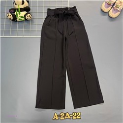 Штаны 1981351-4