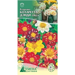 Георгина Коларетта Денди, 0,2г (цв.)