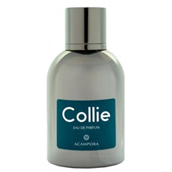 BRUNO ACAMPORA COLLIE edp 2ml пробник