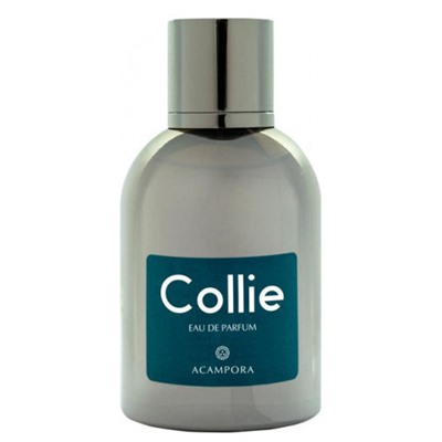 BRUNO ACAMPORA COLLIE edp 2ml пробник