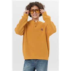 Джемпер для мальчиков MARK FORMELLE, 1227715