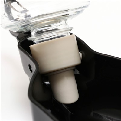 Поилка прогулочная фигурная, 500 мл, с мягким носиком, пластик, чёрная