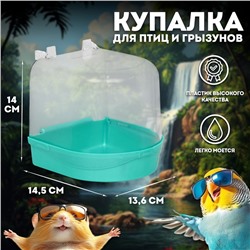 Купалка для птиц, 145×136×140, светло-зелёный перламутр