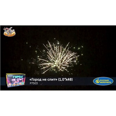 Фейерверк Р7503 Город не спит (1" х 48)