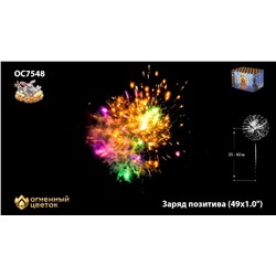 Фейерверк ОС7549 Заряд позитива (0,8" х 49)