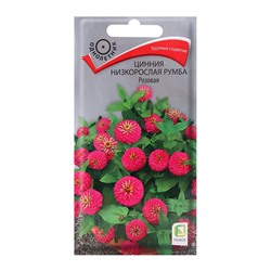 Семена цветов Цинния низкорослая Румба Розовая, 0,1гр